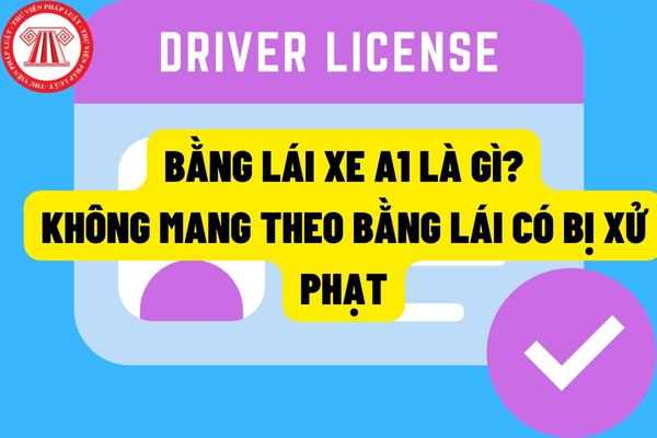 Bằng lái xe A1 là gì Có bằng lái xe A1 nhưng không mang theo khi điều